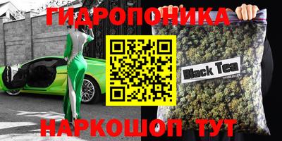 герыч Новодвинск