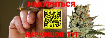 стаф Новозыбков
