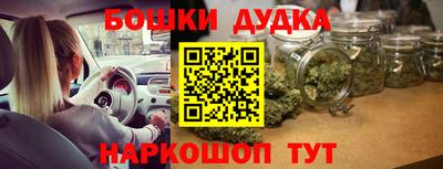 стаф Новозыбков